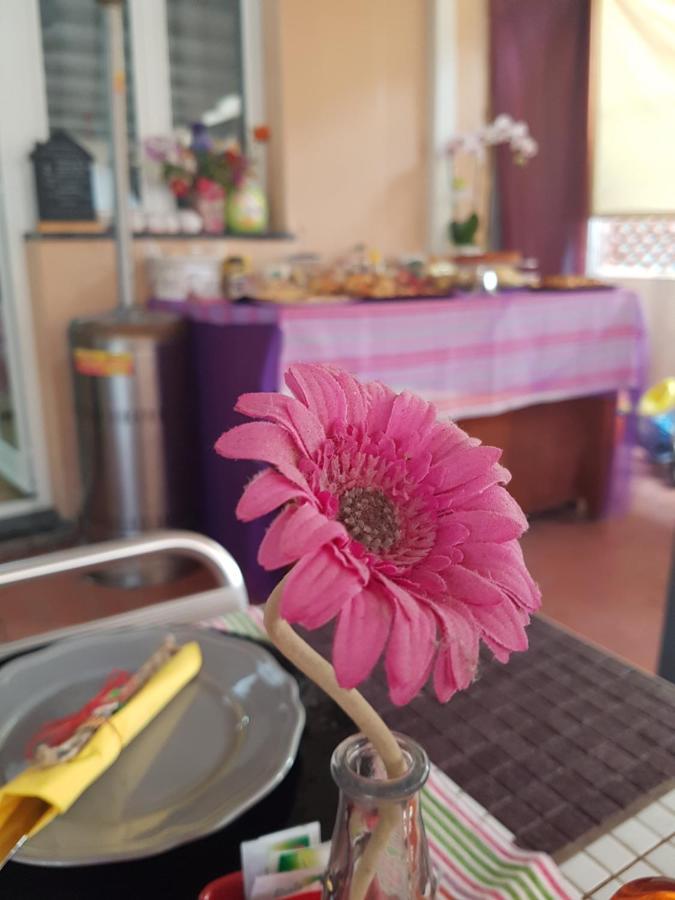 Ghiro Ghiotto Bed and Breakfast Pietra Ligure Εξωτερικό φωτογραφία