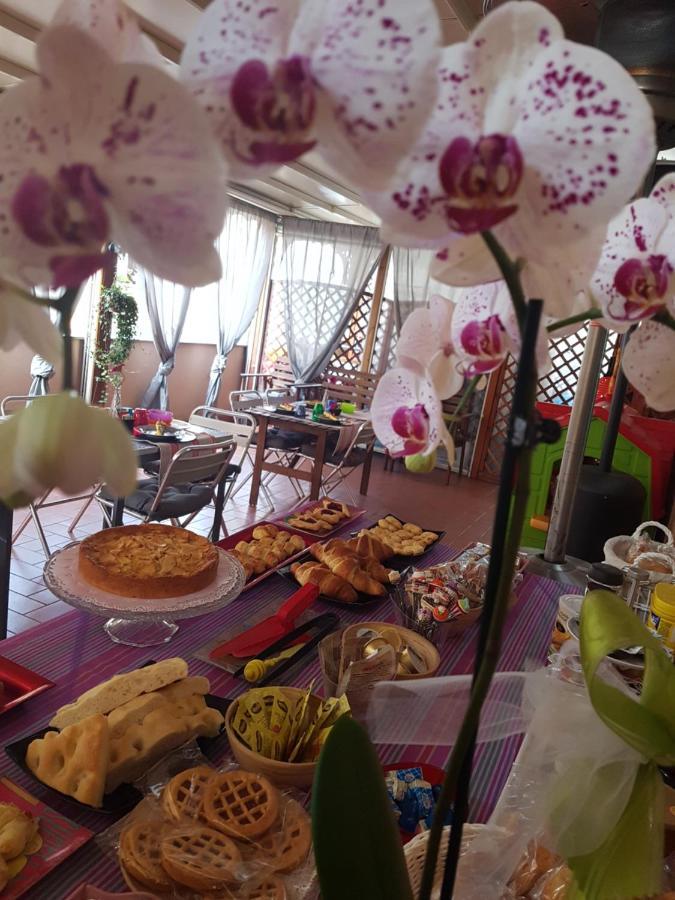 Ghiro Ghiotto Bed and Breakfast Pietra Ligure Εξωτερικό φωτογραφία